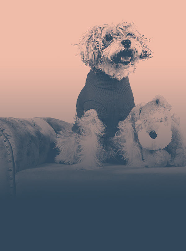 PETS